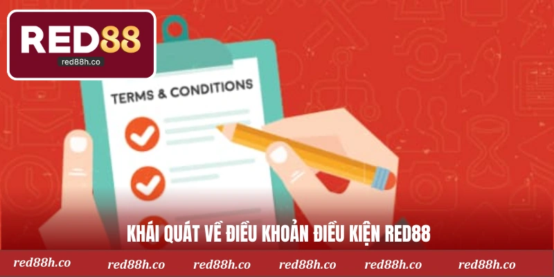 Khái quát về điều khoản điều kiện Red88