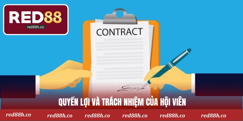 Trách nhiệm và quyền của thành viên